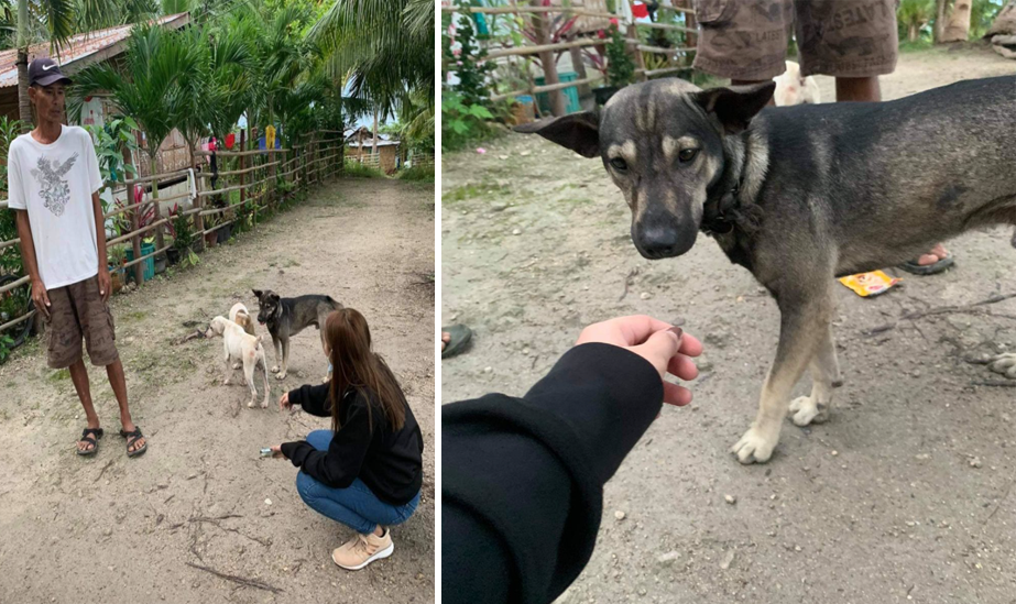 Isang hero dog na nagligtas sa buhay ng bagong silang na sanggol, nakatanggap ng tulong mula sa PAWSsion!