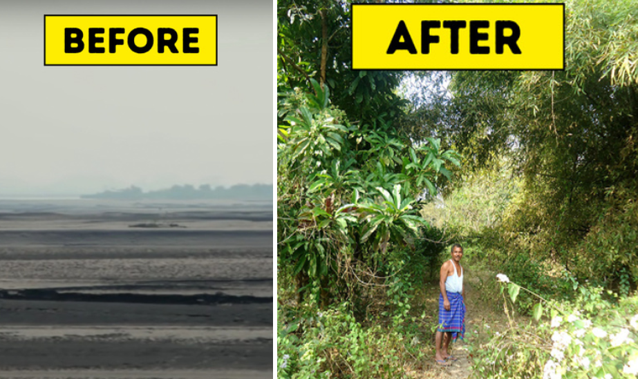 Isang lalaki ang nagtanim ng 40 taon upang ang isang disyerto ay maging isang napakagandang at malagong kagubatan!