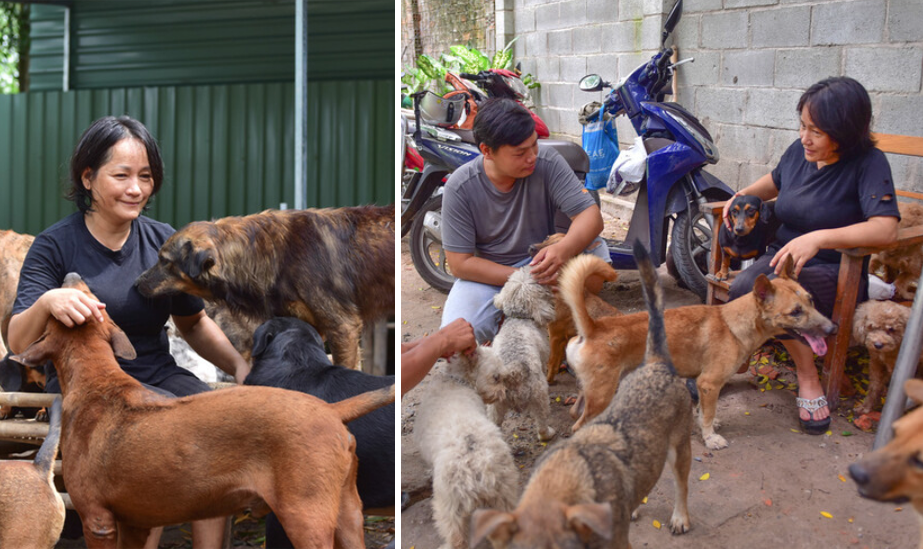 Isang mabuting babae ang hindi nagsasawang magligtas ng mga aso at pusa sa tiyak na kapahamakan sa loob ng anim na taon!